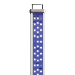 Rampe LED Proten Eau de mer