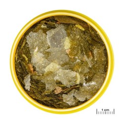 (1)JBL NovoMalawi 1l FR/NL