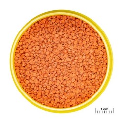 (1)JBL GranaDiscus (CLICK) 250ml FR/NL