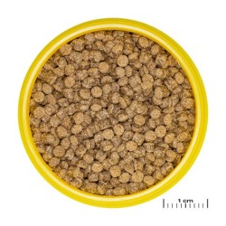 (1)JBL GoldPearls (CLICK) 100ml FR/NL