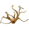 Racine araignée L env 40-50cm 1200-2000 Grs