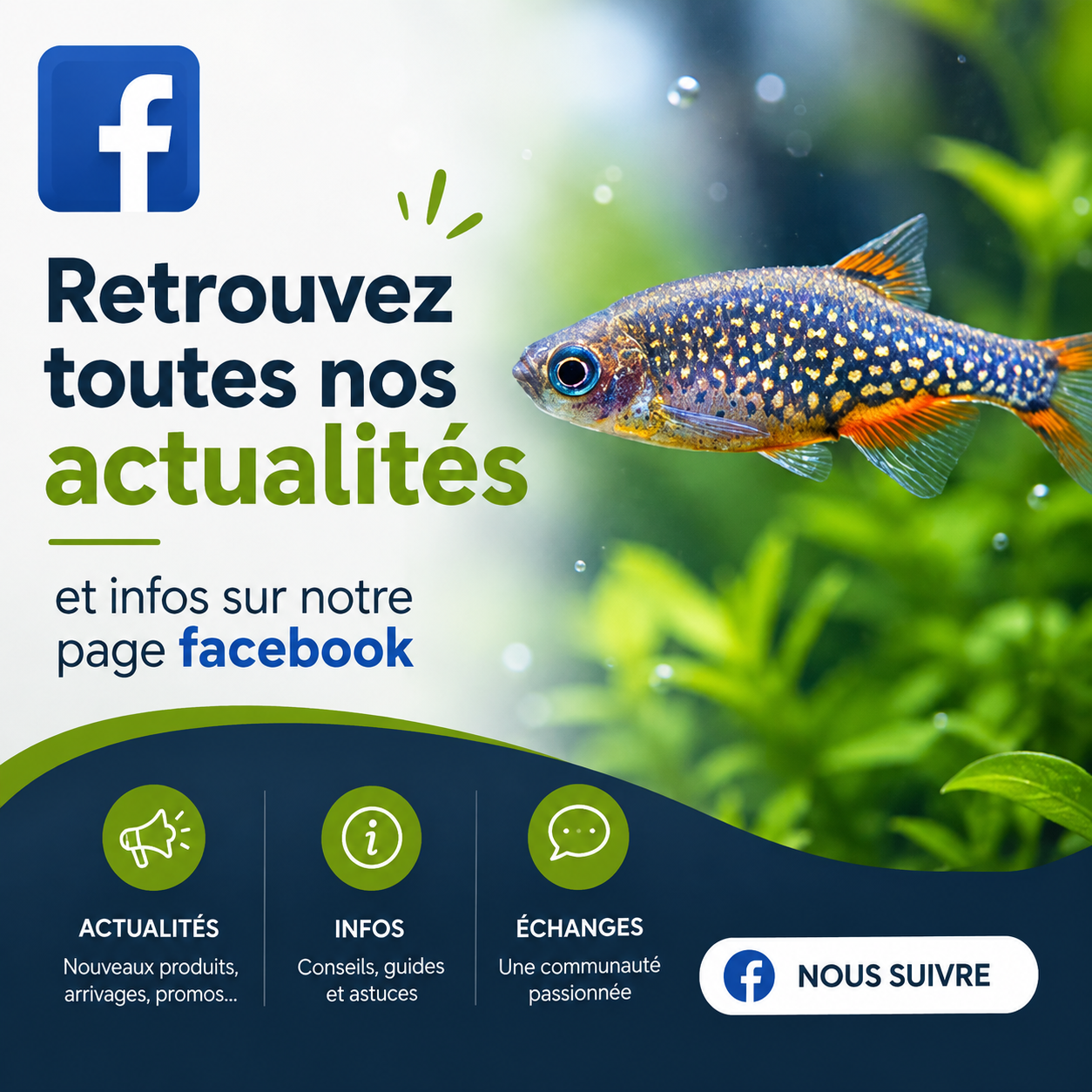 AquaExpress Facebook