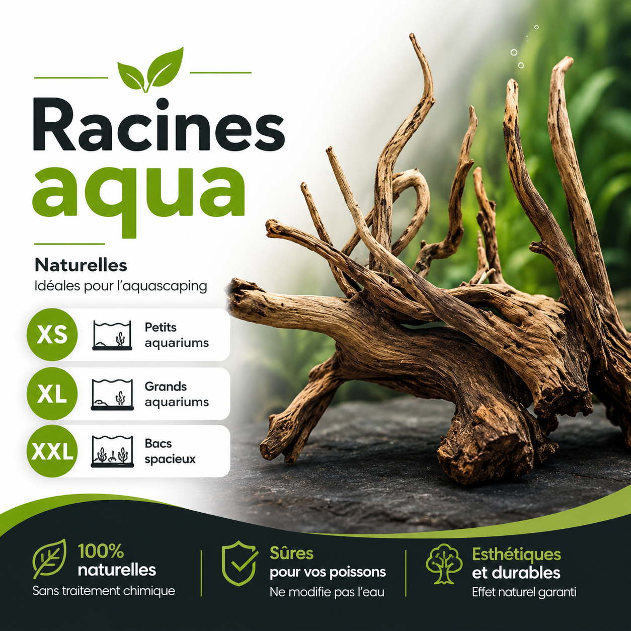 Racines AquaExpress